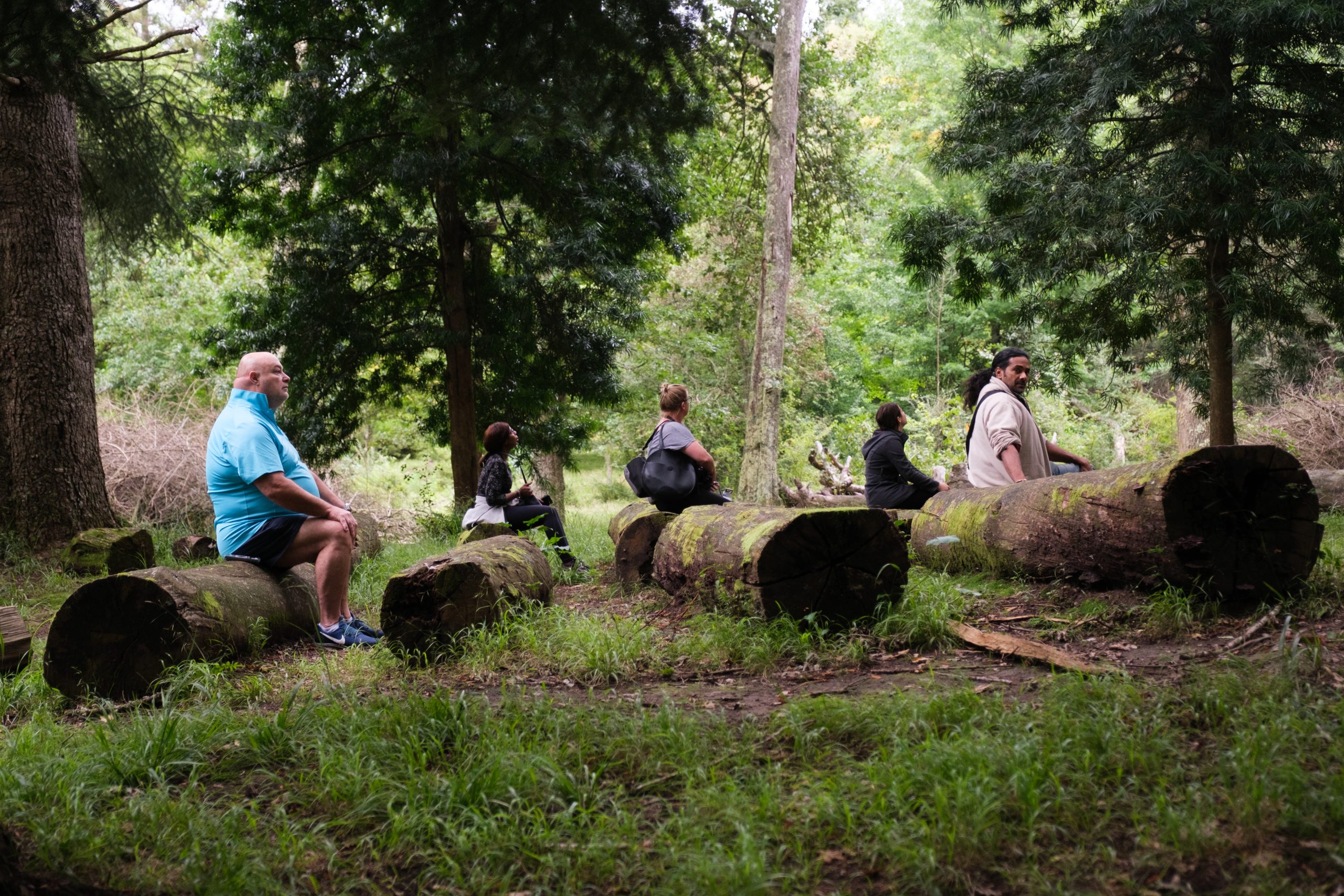Hogsback Retreat Forest Walks